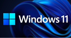 Avakin Life for Windows 11